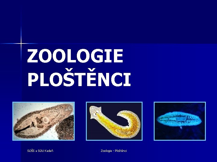 ZOOLOGIE PLOŠTĚNCI SOŠS a SOU Kadaň Zoologie - Ploštěnci 