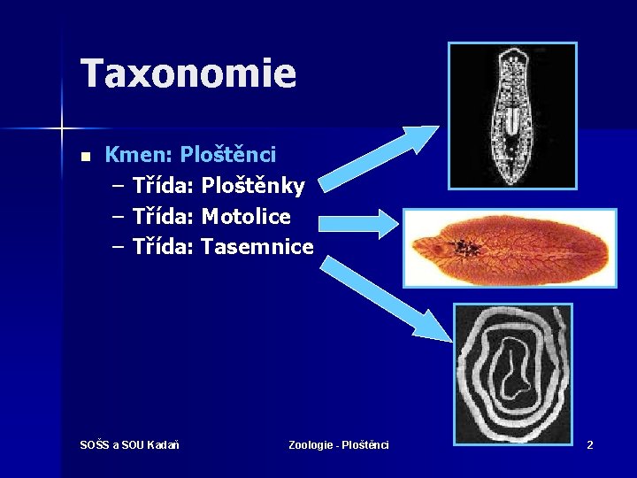 Taxonomie n Kmen: Ploštěnci – Třída: Ploštěnky – Třída: Motolice – Třída: Tasemnice SOŠS