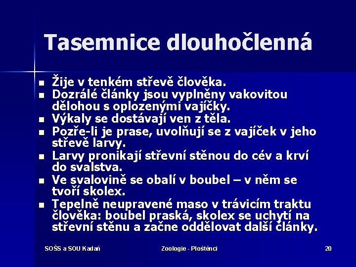 Tasemnice dlouhočlenná n n n n Žije v tenkém střevě člověka. Dozrálé články jsou
