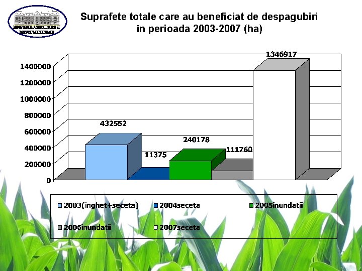 Suprafete totale care au beneficiat de despagubiri în perioada 2003 -2007 (ha) 