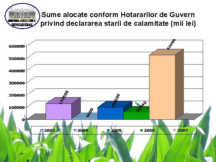 Sume alocate conform Hotararilor de Guvern privind declararea starii de calamitate (mii lei) 
