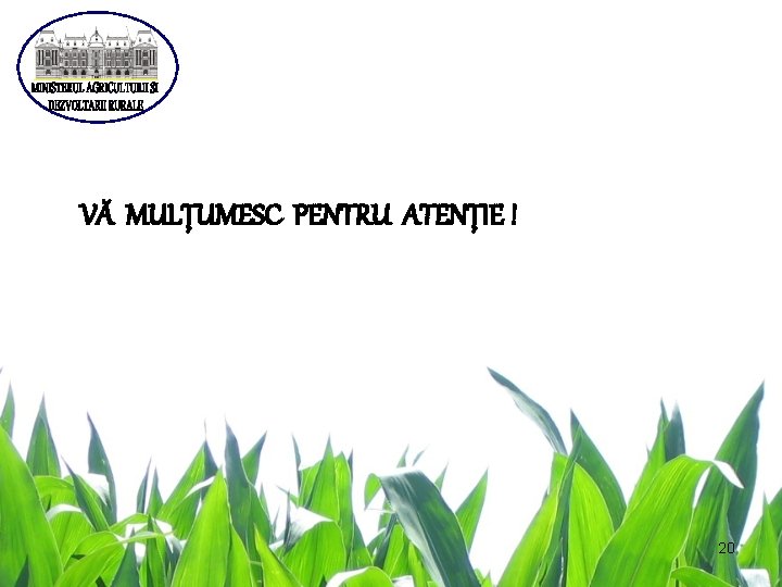  VĂ MULŢUMESC PENTRU ATENŢIE ! 20 