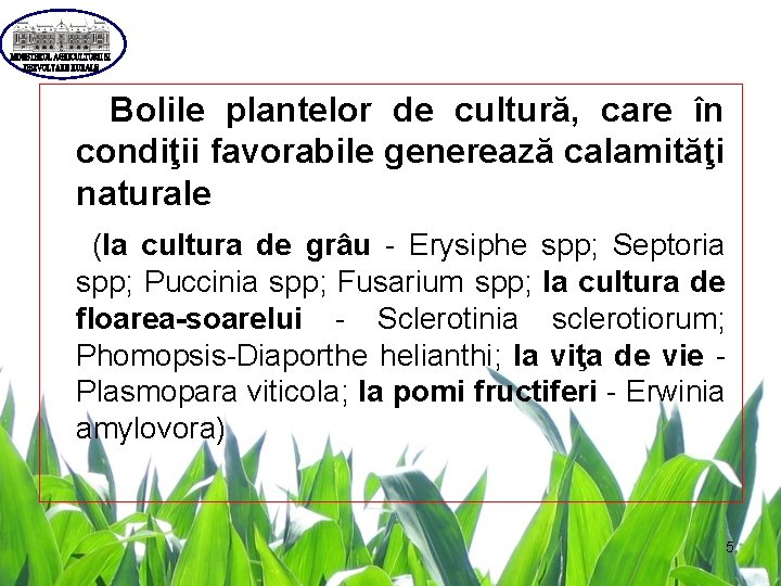  Bolile plantelor de cultură, care în condiţii favorabile generează calamităţi naturale (la cultura