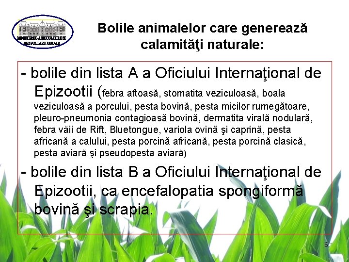 Bolile animalelor care generează calamităţi naturale: - bolile din lista A a Oficiului Internaţional