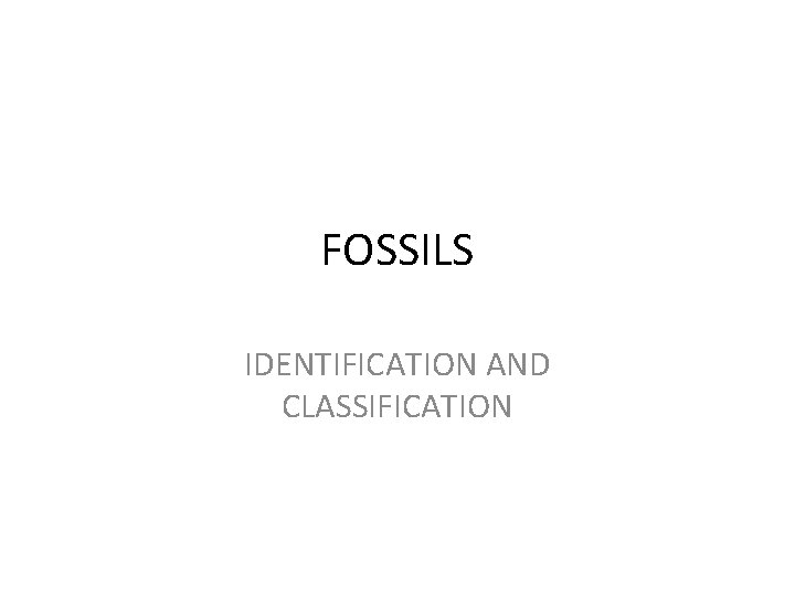 FOSSILS IDENTIFICATION AND CLASSIFICATION 