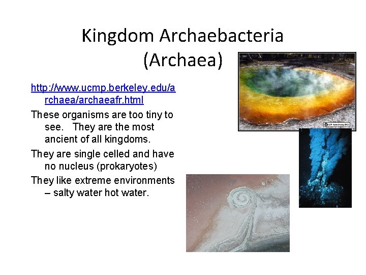 Kingdom Archaebacteria (Archaea) http: //www. ucmp. berkeley. edu/a rchaea/archaeafr. html These organisms are too