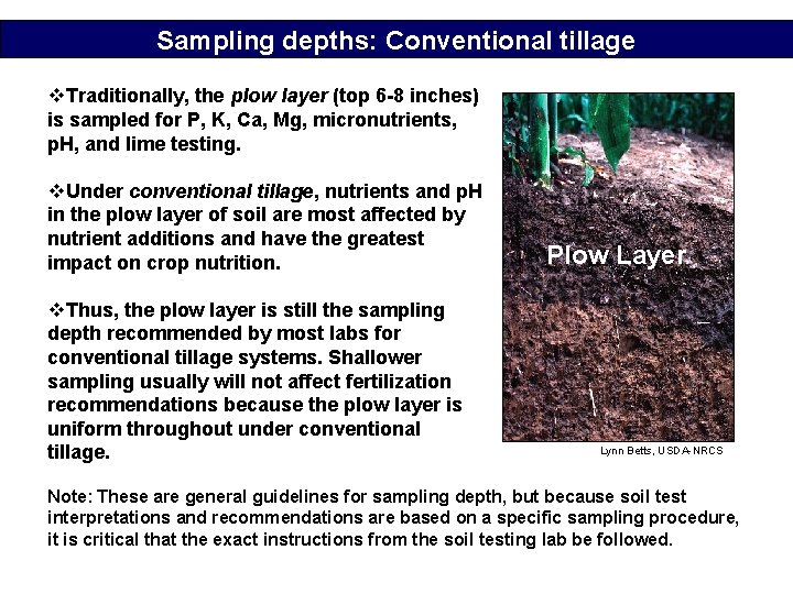 Sampling depths: Conventional tillage v. Traditionally, the plow layer (top 6 -8 inches) is
