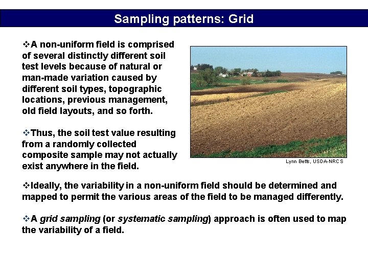 Sampling patterns: Grid v. A non-uniform field is comprised of several distinctly different soil
