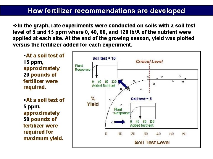 How fertilizer recommendations are developed v. In the graph, rate experiments were conducted on