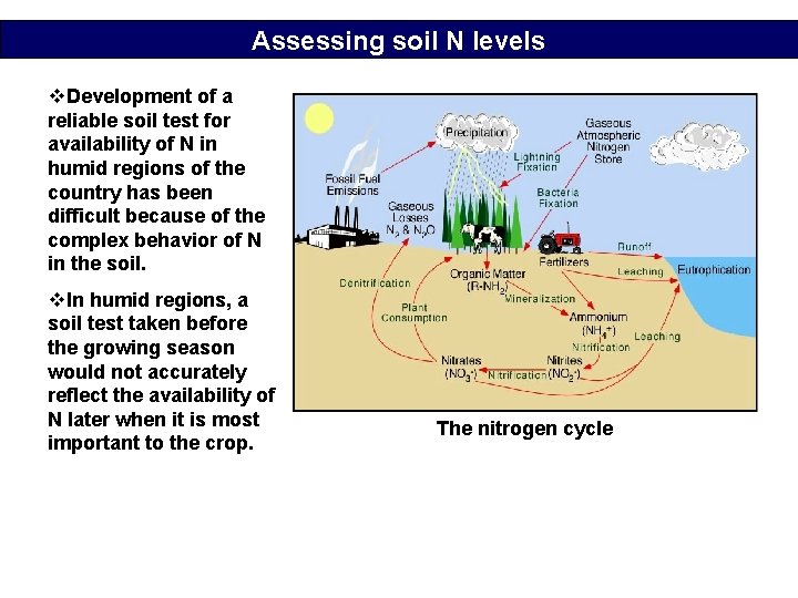 Assessing soil N levels v. Development of a reliable soil test for availability of