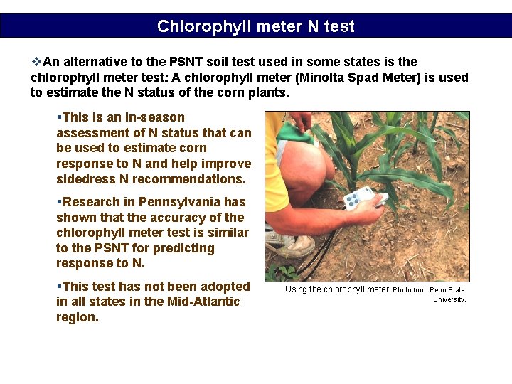 Chlorophyll meter N test v. An alternative to the PSNT soil test used in