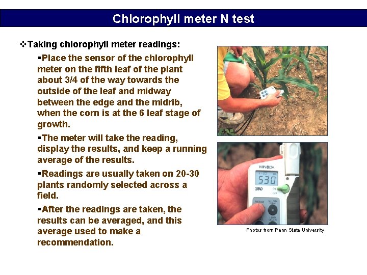 Chlorophyll meter N test v. Taking chlorophyll meter readings: §Place the sensor of the