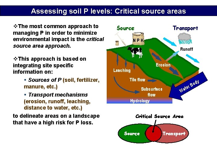 Assessing soil P levels: Critical source areas v. The most common approach to managing