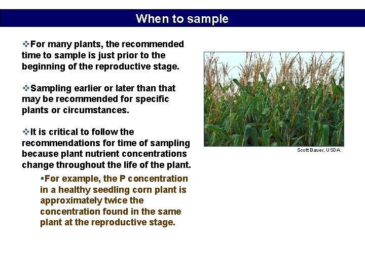 When to sample v. For many plants, the recommended time to sample is just