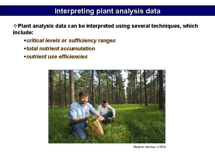 Interpreting plant analysis data v. Plant analysis data can be interpreted using several techniques,