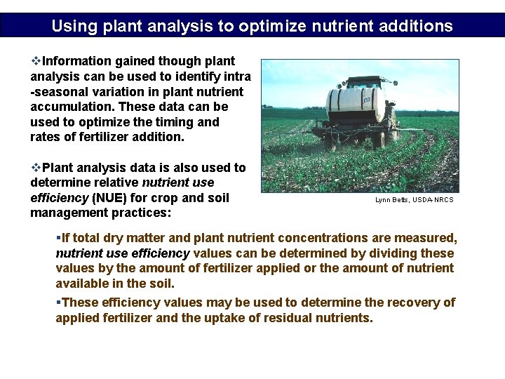 Using plant analysis to optimize nutrient additions v. Information gained though plant analysis can