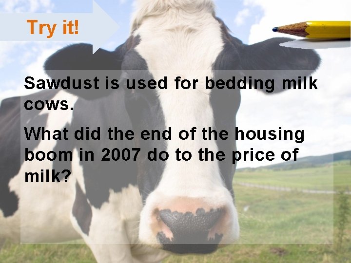 Try it! ; Sawdust is used for bedding milk cows. What did the end Try it! ; Sawdust is used for bedding milk cows. What did the end