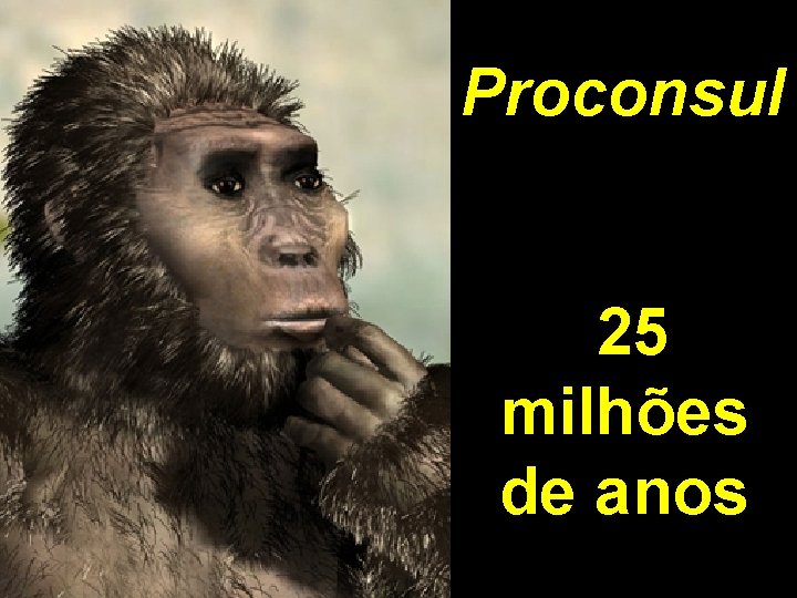 Proconsul 25 milhões de anos 