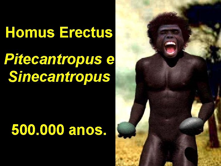 Homus Erectus Pitecantropus e Sinecantropus 500. 000 anos. 