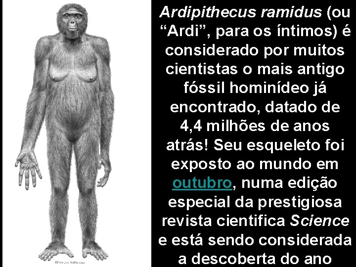 Ardipithecus ramidus (ou “Ardi”, para os íntimos) é considerado por muitos cientistas o mais