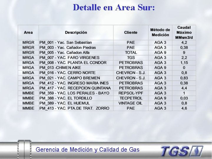 Detalle en Area Sur: Gerencia de Medición y Calidad de Gas 