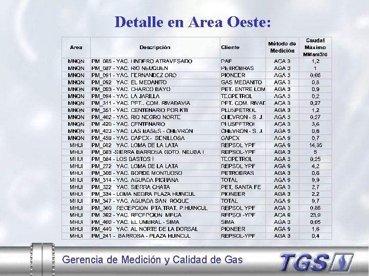 Detalle en Area Oeste: Gerencia de Medición y Calidad de Gas 