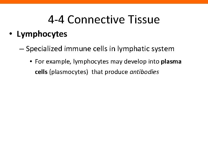 4 -4 Connective Tissue • Lymphocytes – Specialized immune cells in lymphatic system •