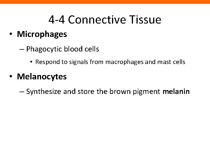 4 -4 Connective Tissue • Microphages – Phagocytic blood cells • Respond to signals