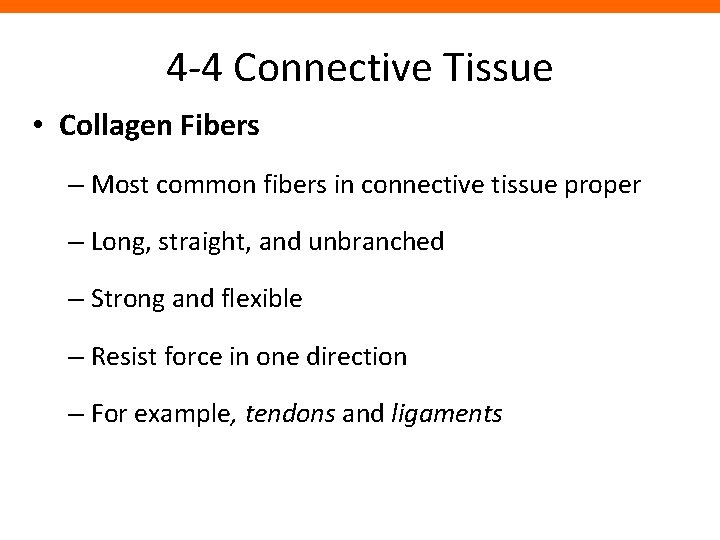 4 -4 Connective Tissue • Collagen Fibers – Most common fibers in connective tissue