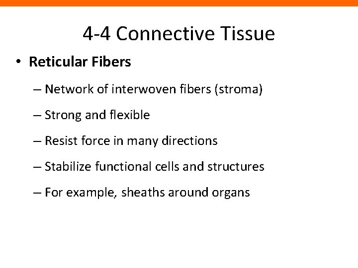 4 -4 Connective Tissue • Reticular Fibers – Network of interwoven fibers (stroma) –