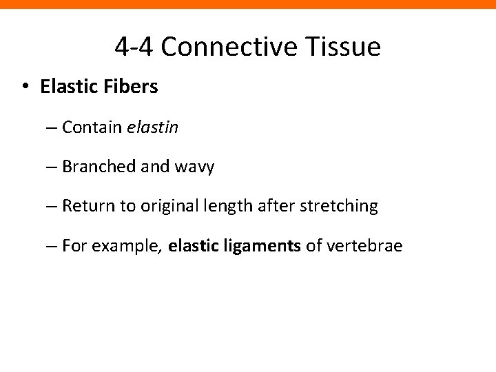 4 -4 Connective Tissue • Elastic Fibers – Contain elastin – Branched and wavy