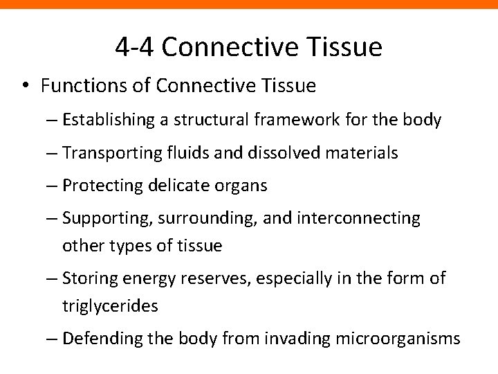 4 -4 Connective Tissue • Functions of Connective Tissue – Establishing a structural framework