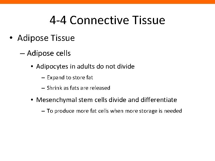 4 -4 Connective Tissue • Adipose Tissue – Adipose cells • Adipocytes in adults