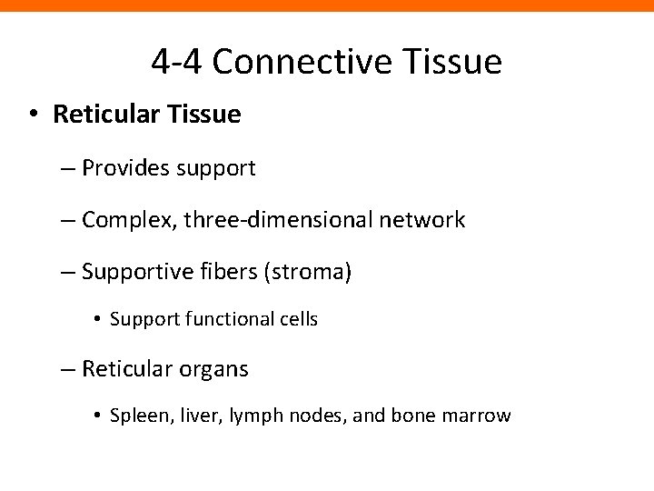 4 -4 Connective Tissue • Reticular Tissue – Provides support – Complex, three-dimensional network