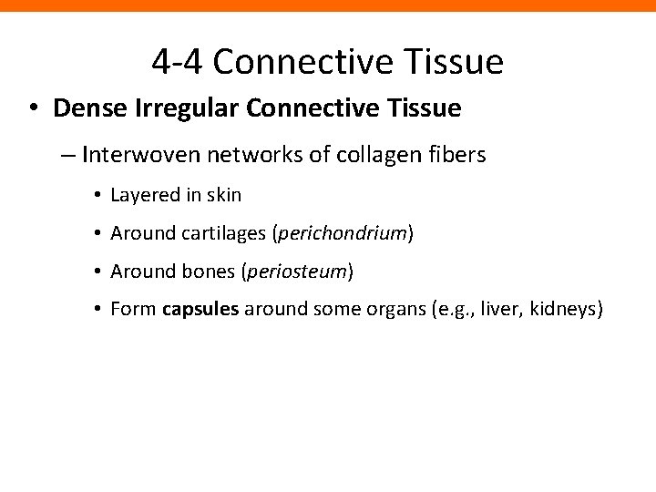 4 -4 Connective Tissue • Dense Irregular Connective Tissue – Interwoven networks of collagen