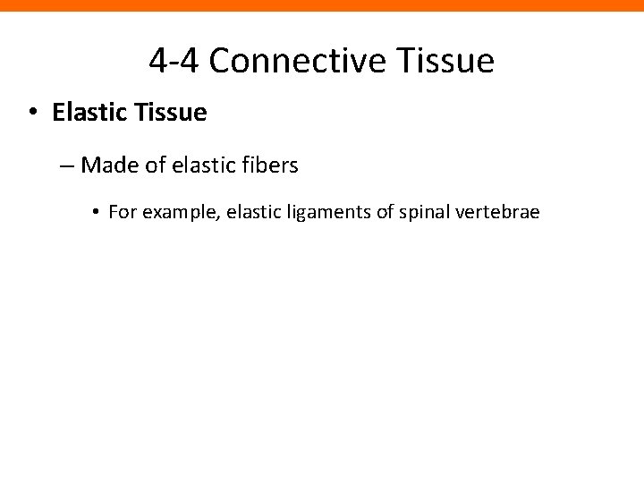 4 -4 Connective Tissue • Elastic Tissue – Made of elastic fibers • For