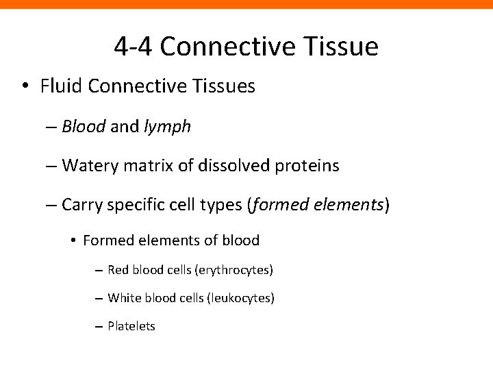 4 -4 Connective Tissue • Fluid Connective Tissues – Blood and lymph – Watery