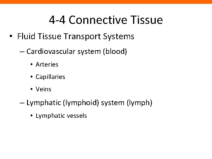 4 -4 Connective Tissue • Fluid Tissue Transport Systems – Cardiovascular system (blood) •