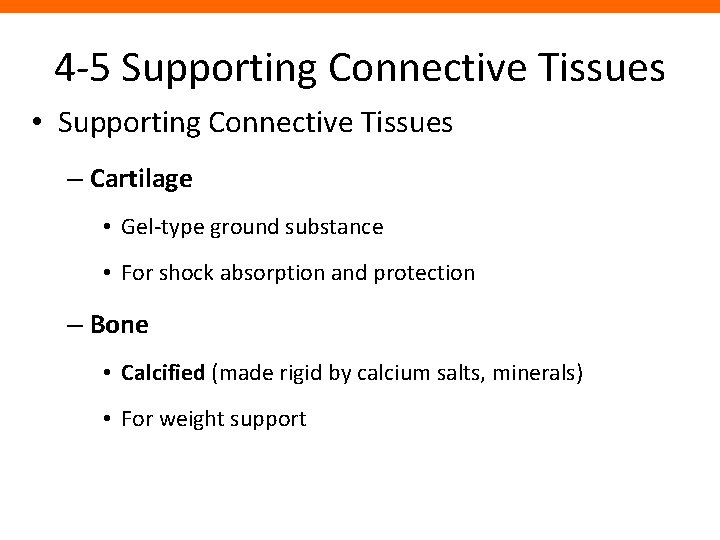 4 -5 Supporting Connective Tissues • Supporting Connective Tissues – Cartilage • Gel-type ground