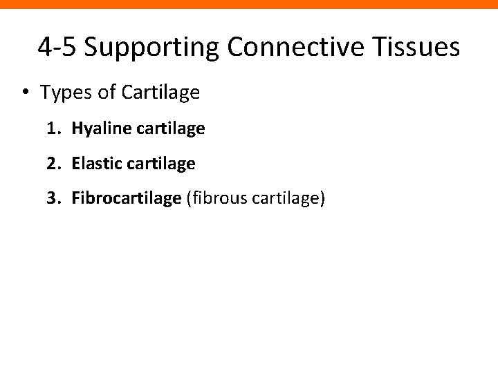 4 -5 Supporting Connective Tissues • Types of Cartilage 1. Hyaline cartilage 2. Elastic