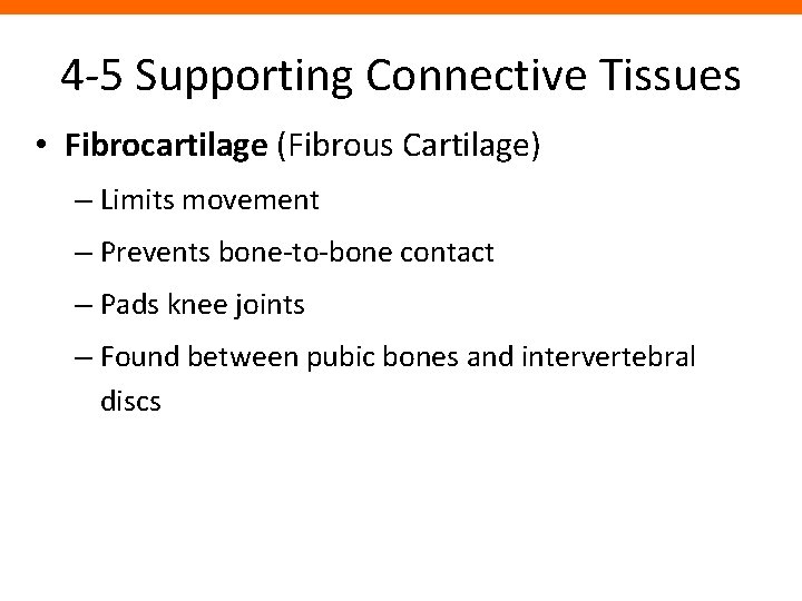 4 -5 Supporting Connective Tissues • Fibrocartilage (Fibrous Cartilage) – Limits movement – Prevents