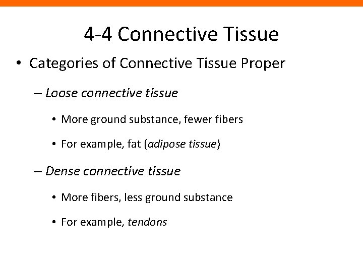 4 -4 Connective Tissue • Categories of Connective Tissue Proper – Loose connective tissue