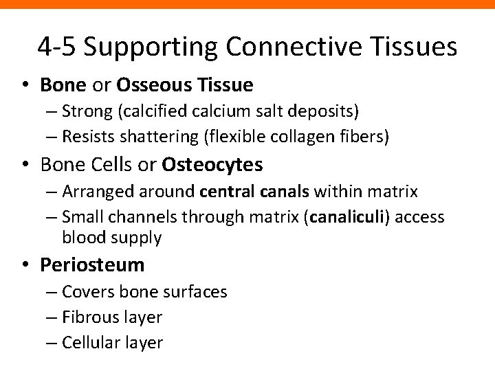 4 -5 Supporting Connective Tissues • Bone or Osseous Tissue – Strong (calcified calcium