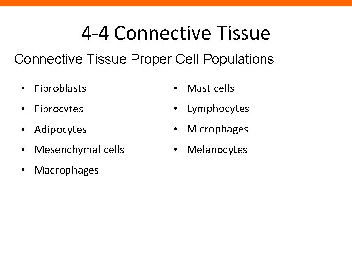 4 -4 Connective Tissue Proper Cell Populations • Fibroblasts • Mast cells • Fibrocytes