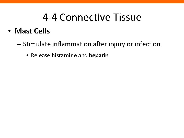 4 -4 Connective Tissue • Mast Cells – Stimulate inflammation after injury or infection