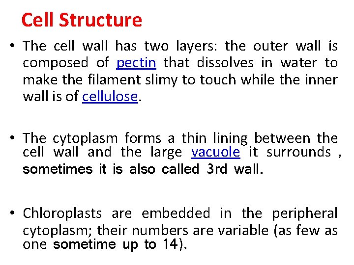 Cell Structure • The cell wall has two layers: the outer wall is composed