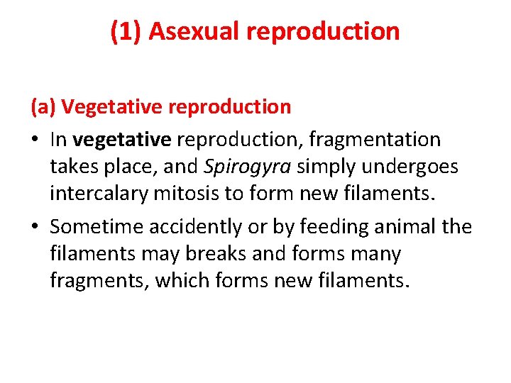(1) Asexual reproduction (a) Vegetative reproduction • In vegetative reproduction, fragmentation takes place, and