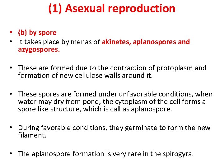 (1) Asexual reproduction • (b) by spore • It takes place by menas of