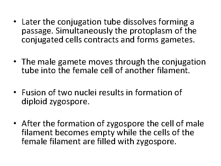  • Later the conjugation tube dissolves forming a passage. Simultaneously the protoplasm of