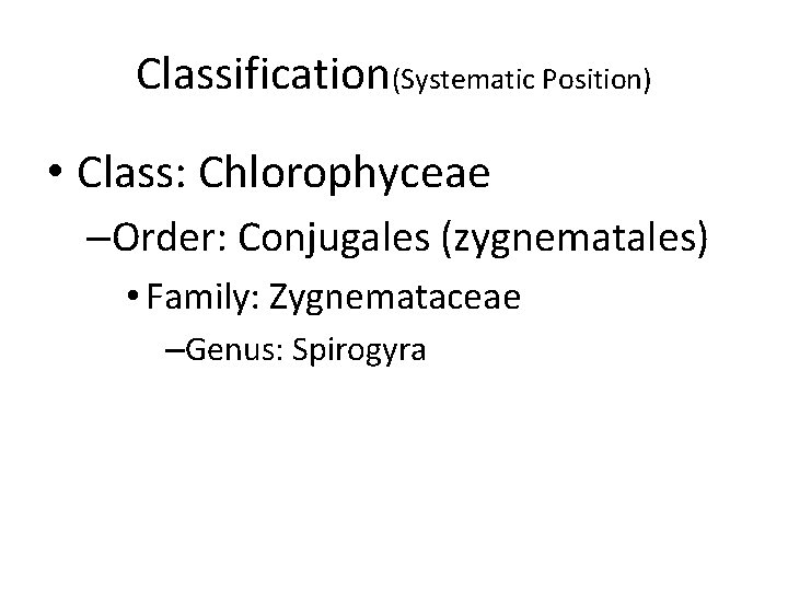 Classification(Systematic Position) • Class: Chlorophyceae –Order: Conjugales (zygnematales) • Family: Zygnemataceae –Genus: Spirogyra 